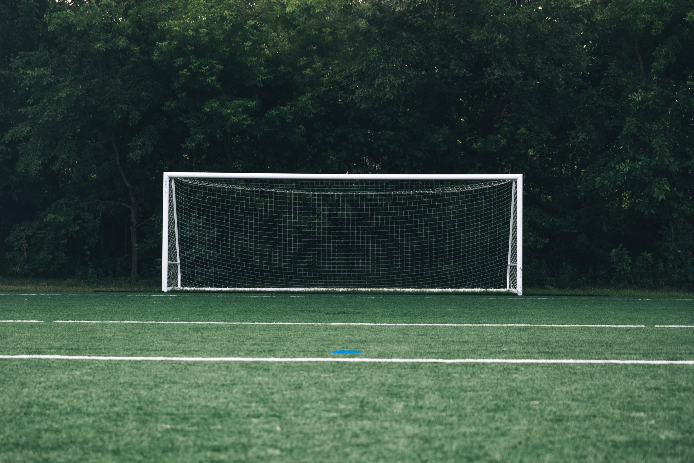 Ein Fußballtor auf einem Rasenplatz, vor einer grünen Hecke oder Bäumen.